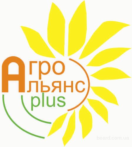 Покупаем горчицу, лен куплю.
