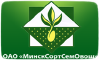 Отбираем семена для посадки – основные правила