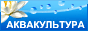 Термопластавтоматы.