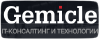 Gemicle - умные пассажироперевозки для современных городов