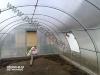 Теплицы для овощей и зелени
