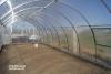 Теплицы для овощей и зелени