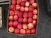 Продам яблоки