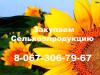 КУПЛЮ: