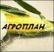 зерновые