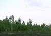 Живописный участок 12.6 сот., 36000у.е., лес