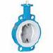 Баттерфляй уплотнение PTFE, диск чугун