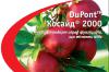 Косайд® 2000