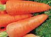 Продам морковь.