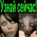 Горчица