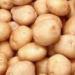 Закупка овощной продукции