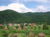 Продам дом в Закарпатье