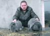 Продам кроликов элитных пород