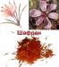Шафран saffron zafaran