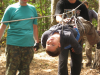 Детский Британский лагерь STREAM CAMP